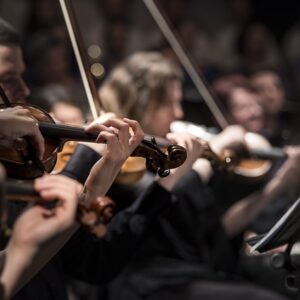 Festival Fees - Ensemble