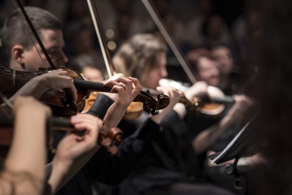 Festival Fees - Ensemble